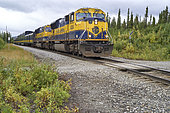 Denali Star Train, Alaska railroad train, Anchorage - Fairbanks, Denali National Park, Alaska, USA