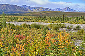 Landscape of Denali National Park, Alalska, USA