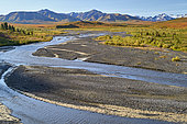 Savage river, Denali National Park, Alaska, USA