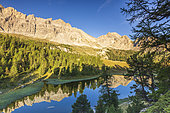 Lac des prés Soubeyrand or lac Miroir (2214 m), dominated by the Crête des Veyrés (3000 m), and on the right the Pointe de la Saume (3043 m), Ceillac, Queyras Regional Natural Park, Hautes Alpes, France