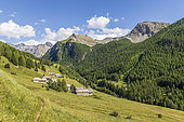 Hameau les Chalmettes, Ceillac, Queyras Regional Nature Park, Hautes Alpes, France