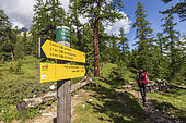 Orientation post on the GR 5 and GRP Tour de la Font Sancte long-distance hiking trails to Lac Miroir (2214 m), Ceillac, Queyras Regional Nature Park, Hautes Alpes, France
