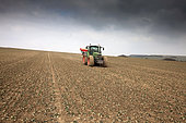 Spreading nitrogen fertilizer, amonitrate, with a mounted granular seed drill.
