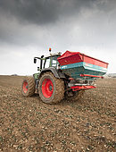 Spreading nitrogen fertilizer, amonitrate, with a mounted granular seed drill.