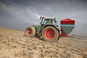 Spreading nitrogen fertilizer, amonitrate, with a mounted granular seed drill.