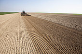 Farmers using tool trains to prepare the soil in one pass just before sowing on light loamy, chalky soil in the Brie region, Marne, France.