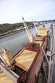Loading wheat from a cargo ship, grain port, port of Rouen, Normandy, France