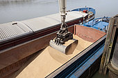 Loading wheat from a cargo ship, grain port, port of Rouen, Normandy, France
