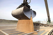 Loading wheat from a cargo ship, grain port, port of Rouen, Normandy, France