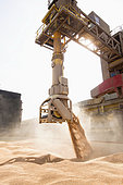 Loading wheat from a cargo ship, grain port, port of Rouen, Normandy, France