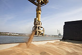 Loading wheat from a cargo ship, grain port, port of Rouen, Normandy, France