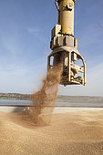Loading wheat from a cargo ship, grain port, port of Rouen, Normandy, France