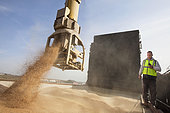 Loading wheat from a cargo ship, grain port, port of Rouen, Normandy, France