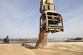 Loading wheat from a cargo ship, grain port, port of Rouen, Normandy, France