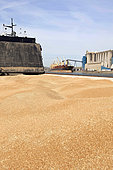 Loading wheat from a cargo ship, grain port, port of Rouen, Normandy, France