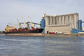 Loading wheat from a cargo ship, grain port, port of Rouen, Normandy, France
