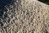 Solid nitrogen fertilizer granules