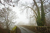 Fog in the countryside, Roman bridge over the Huisne river, Yvré-l'Evêque, Sarthe, France