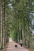 Young woman walking her dog on a country lane in the Nature Arch, Le Mans Métropole, Sarthe, France