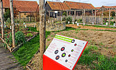 Educational vegetable garden in winter, panel explaining crop rotation, Arche de la nature, Le Mans Métropole, Sarthe, France