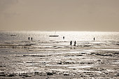 Fishermen have moored their pirogues and are returning with their catch at sunrise on a beach of white sand and turquoise sea on the east coast of Zanzibar, Tanzania.