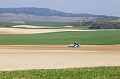 A landscape of field crops in spring, green wheat or barley, and bare earth where a farmer is sowing beet or sunflower with a precision drill in loamy soil. In the distance, vineyards at the edge of the woods in the Brie region of France.