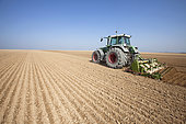 Farmer using a rotary harrow to prepare loamy, chalky soil prior to spring sowing in the Brie region of France.