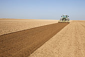 Farmer using a rotary harrow to prepare loamy, chalky soil prior to spring sowing in the Brie region of France.