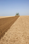 Farmer using a rotary harrow to prepare loamy, chalky soil prior to spring sowing in the Brie region of France.