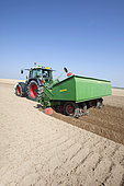 Planting potatoes in the silty soils of the Brie region. Side view of the bucket planter. Plant treatment by powdering or spraying is essential to combat tuber parasites: brown rhizoctonia, silver scurf and dartrose. France