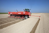 Planting potatoes with a six-row ridge planter on loamy soils in the Brie region of France.
