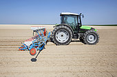 Sowing beet or sunflowers with a precision drill in limestone loam in the Brie region, France