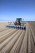 Sowing beet or sunflowers with a precision drill in limestone loam in the Brie region, France
