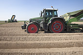 Planting potatoes in the silty soils of the Brie region. Planter, planter, ridger. Two rows, France