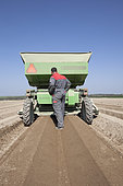 Planting potatoes in the silty soils of the Brie region. Farmer checks ridging quality. Seed drill, planter and ridger. Two rows, France