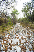Dry riverbed in Vaucluse, France