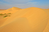 Dunes of the Adrar desert near Chinguetti. Ancient ksour of Ouadane, Chinguetti, Tichitt and Oualata. Adrar. Mauritania