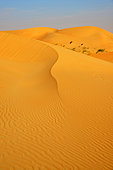 Dunes of the Adrar desert near Chinguetti. Ancient ksour of Ouadane, Chinguetti, Tichitt and Oualata. Adrar. Mauritania