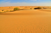 Dunes of the Adrar desert near Chinguetti. Ancient ksour of Ouadane, Chinguetti, Tichitt and Oualata. Adrar. Mauritania