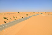 The Route National 2 between Nouakchott and Nouadhibou is often block by the sand. Chamy. Mauritania