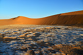 Limestone in the dunes of the Adrar desert near Chinguetti. Ancient ksour of Ouadane, Chinguetti, Tichitt and Oualata. Adrar. Mauritania
