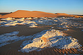 Limestone in the dunes of the Adrar desert near Chinguetti. Ancient ksour of Ouadane, Chinguetti, Tichitt and Oualata. Adrar. Mauritania