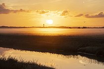 Breton marsh at dawn in summer, Vendée, France