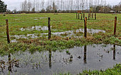 Ditch flooding following heavy rain in the countryside, Sarthe, France. February 26, 2024