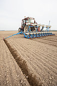 Sowing beet with a 12-row precision drill on loamy soil, Marne, France