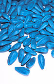 Certified sunflower seed, treated. Treated with "Gaucho" or "Regent" or others, danger for bees.