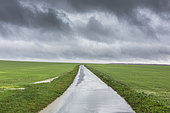 Torrential rain on a small road between two plots of barley and wheat in autumn
