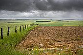 Landscape of mixed farming under a violent storm and heavy rain, damage, risk of loss, flooding, delayed sowing on bare soil in ploughing too wet to be prepared, Yonne, France