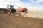 Sowing rapeseed, barley or wheat with a Vederstad seed drill pulled by a claas tractor in the middle of a drought.