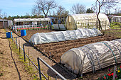 Plastic tunnels to shelter vegetables, Allotment Garden, Allonnes, Sarthe, Pays de la Loire, France